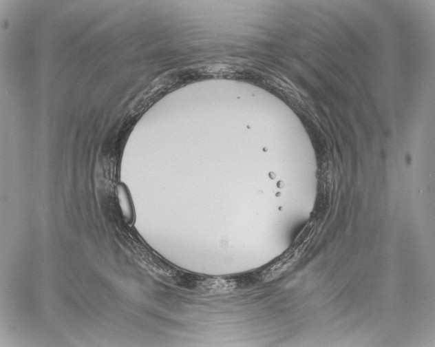 X0000061720421200512302125