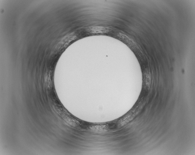 X0000061720422200512302125