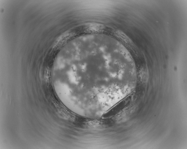 X0000061720423200512302125