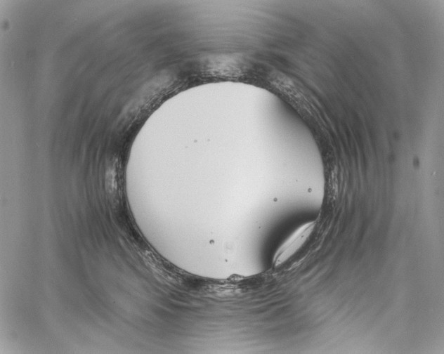 X0000061720424200512302125