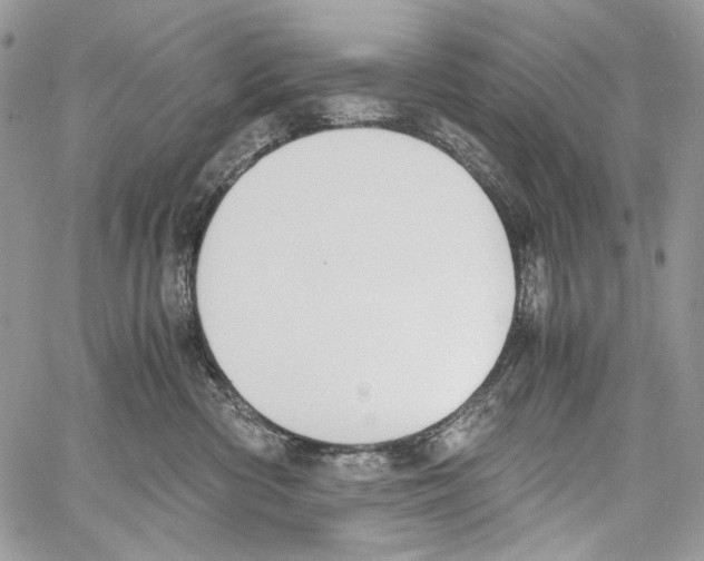 X0000061720426200512302125