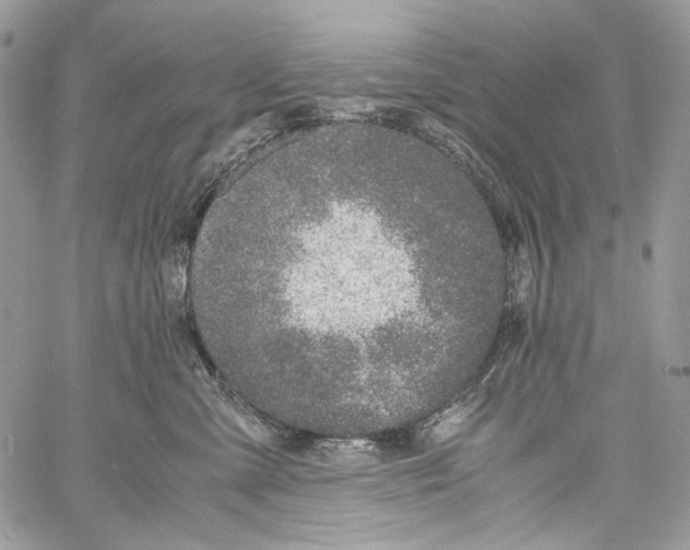 X0000061720427200512302125