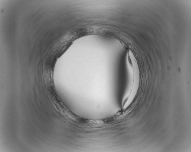 X0000061720429200512302124