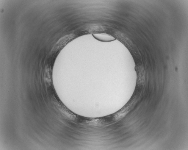 X0000061720430200512302124