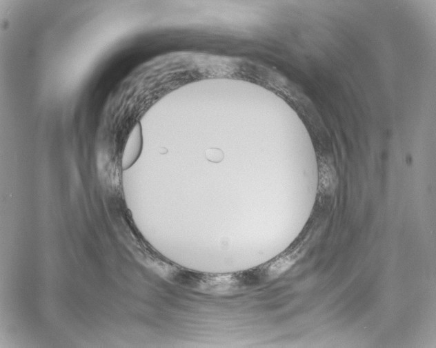 X0000061720431200512302124