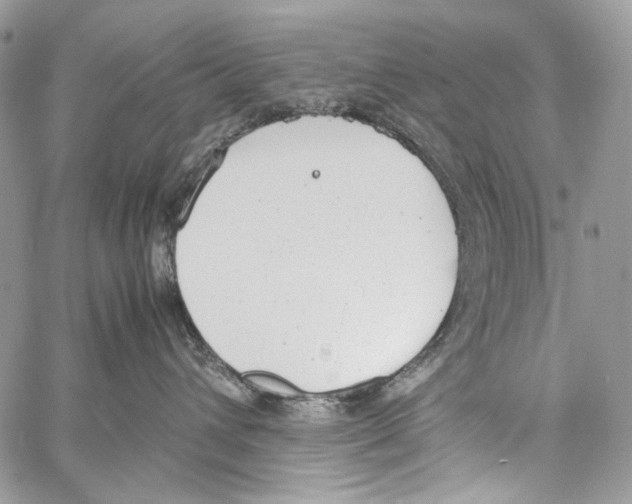 X0000061720432200512302124