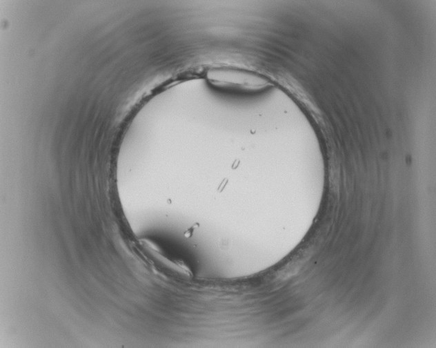 X0000061720434200512302124