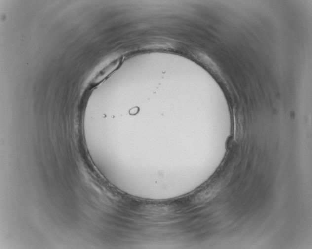 X0000061720435200512302124