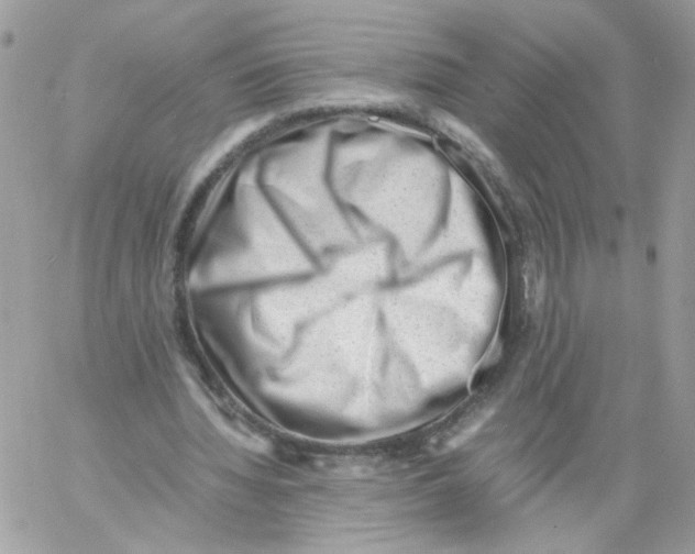 X0000061720436200512302124