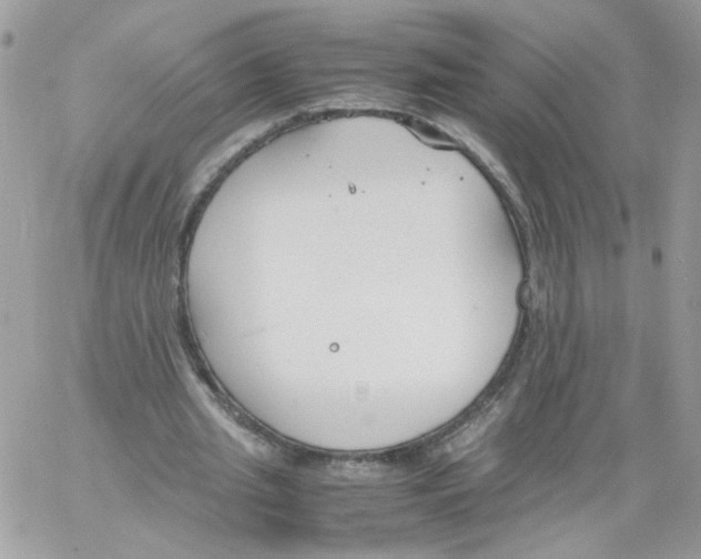 X0000061720437200512302124