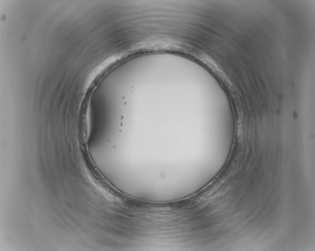 X0000061720438200512302124