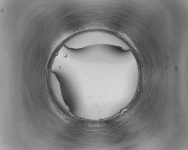 X0000061720439200512302124