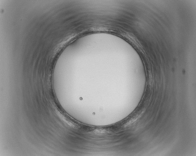 X0000061720441200512302124