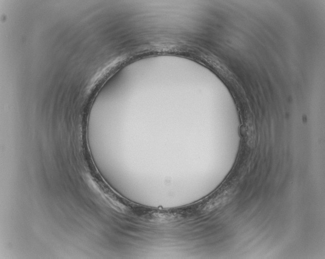 X0000061720442200512302124