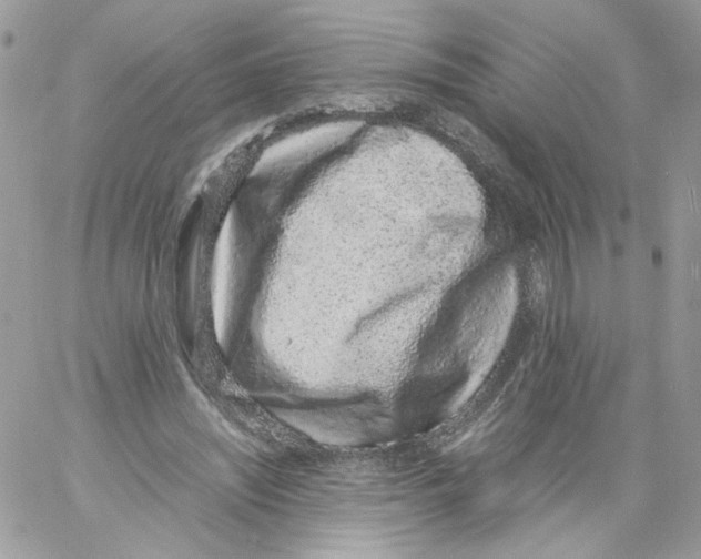 X0000061720444200512302124