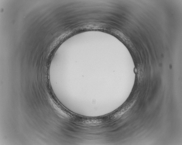 X0000061720445200512302124