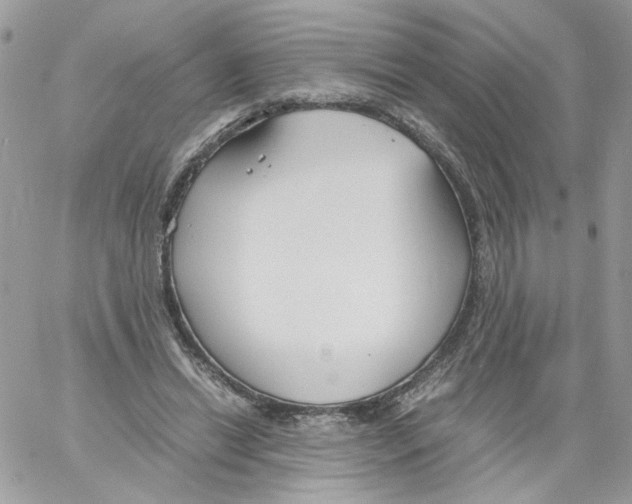 X0000061720446200512302124