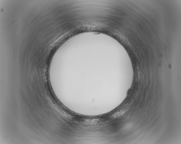 X0000061720450200512302124