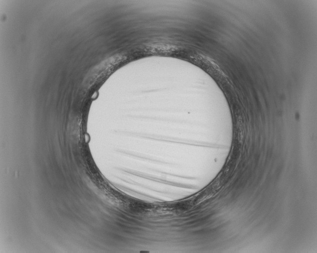 X0000061720451200512302124