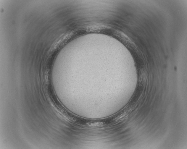 X0000061720452200512302124