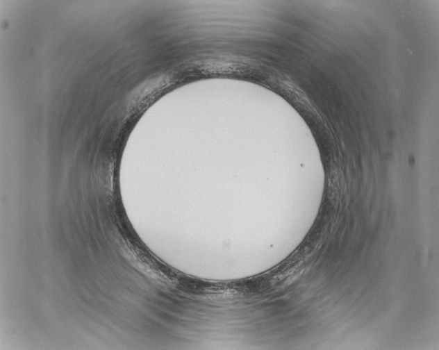 X0000061720454200512302124