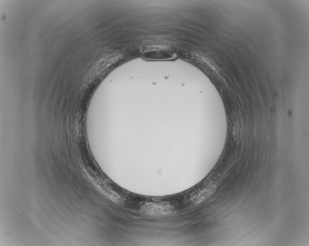 X0000061720455200512302124