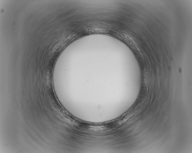 X0000061720457200512302124