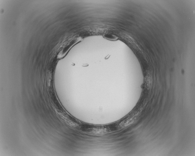 X0000061720458200512302124