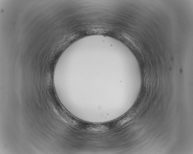 X0000061720459200512302124