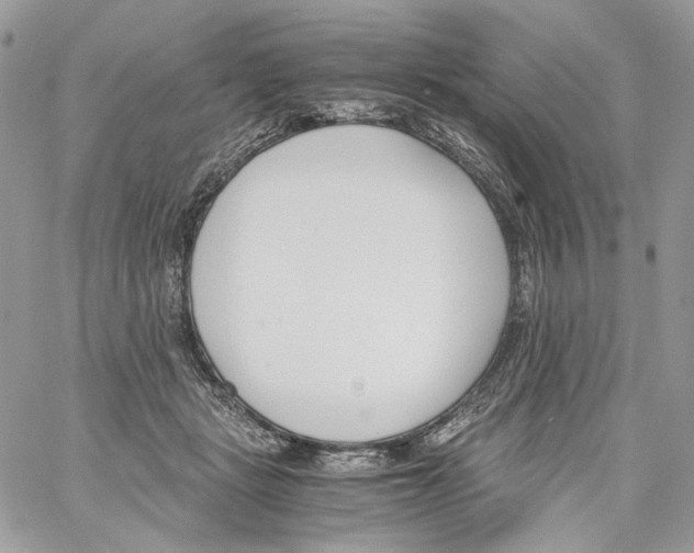 X0000061720461200512302124