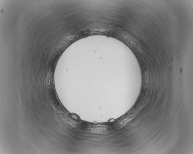 X0000061720463200512302124