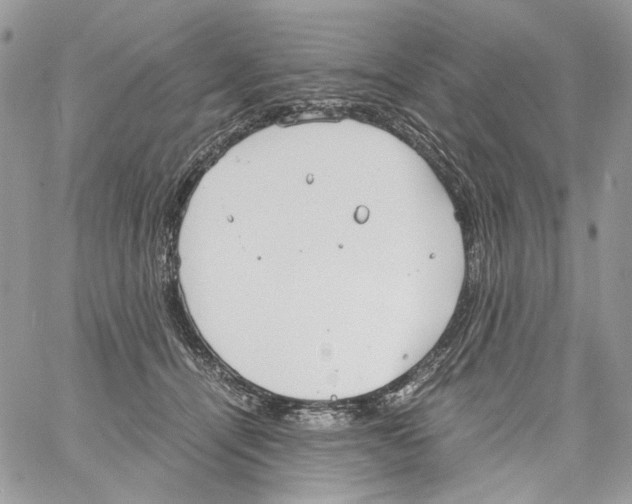 X0000061720464200512302124