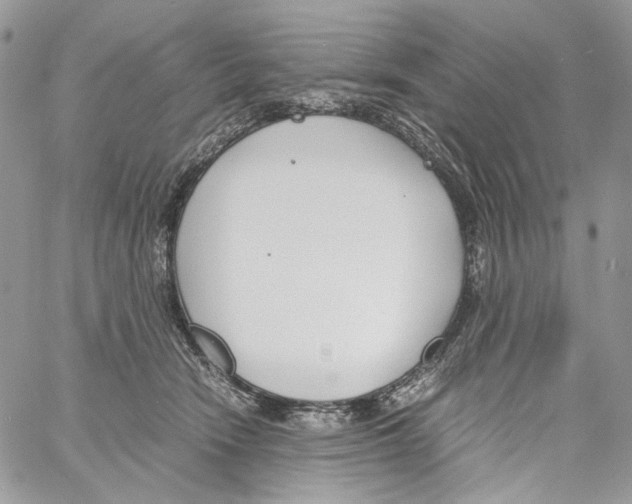 X0000061720466200512302124