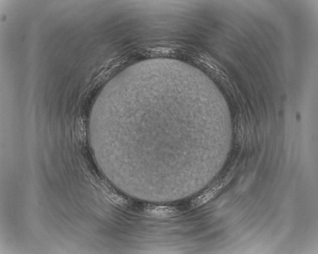 X0000061720467200512302124