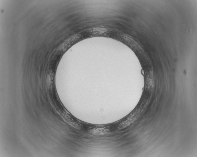 X0000061720468200512302124