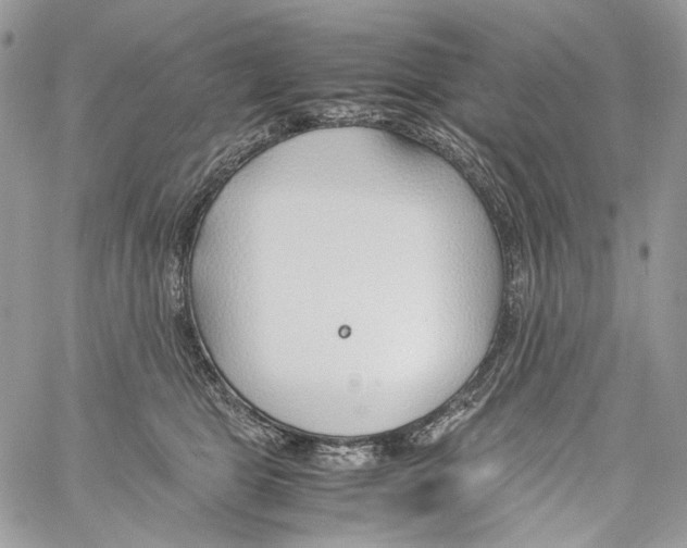 X0000061720469200512302124