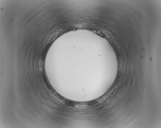 X0000061720470200512302124