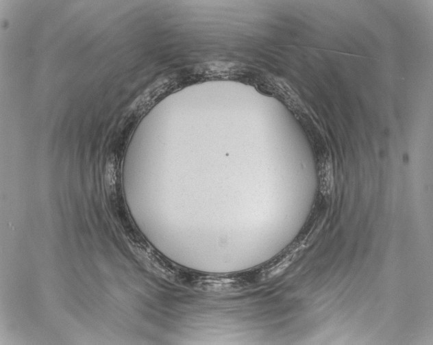 X0000061720472200512302124