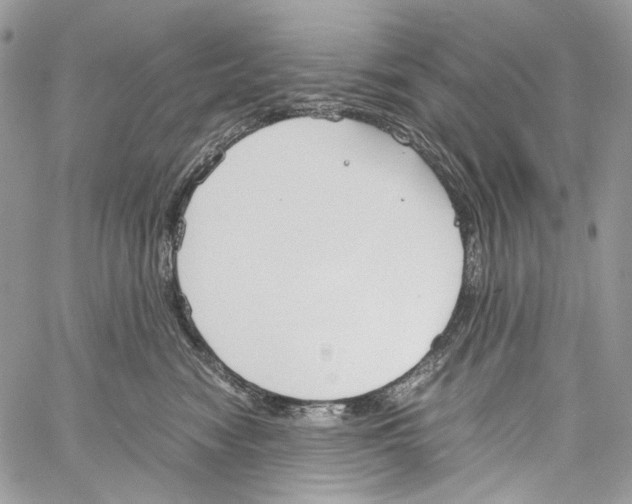 X0000061720474200512302124