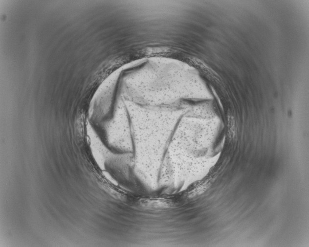 X0000061720475200512302124