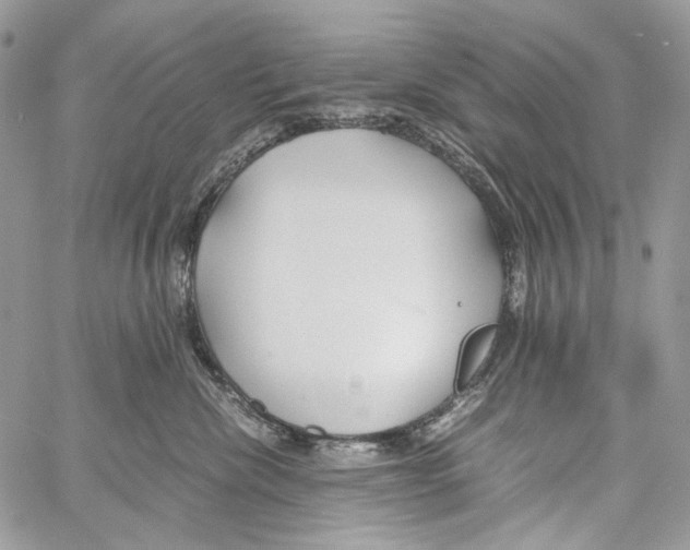 X0000061720476200512302124