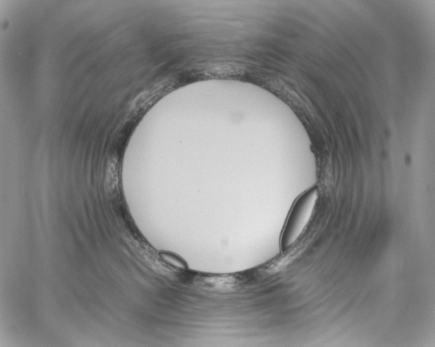 X0000061720478200512302124