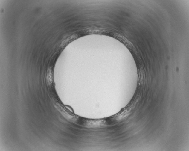 X0000061720479200512302124