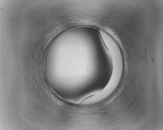 X0000061720481200512302124