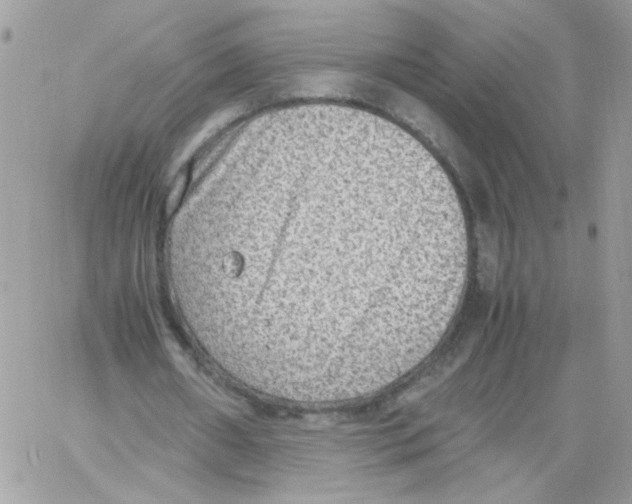 X0000061720482200512302124