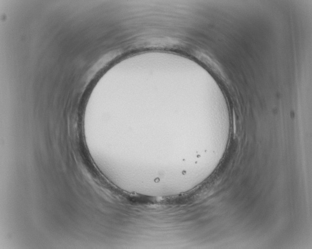 X0000061720483200512302124