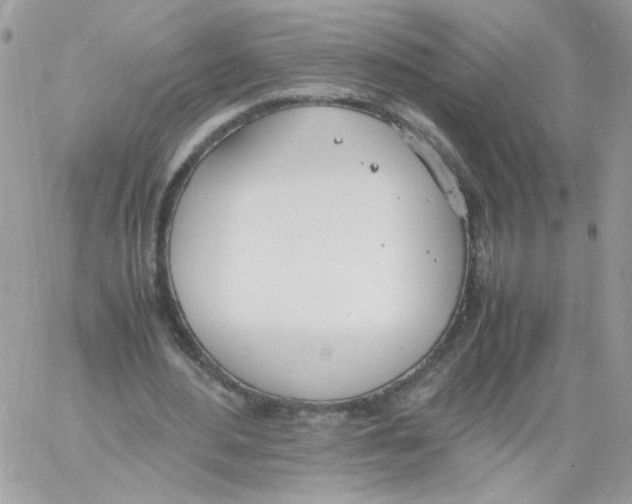 X0000061720484200512302124