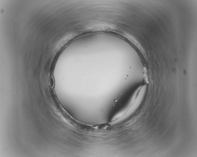 X0000061720485200512302124