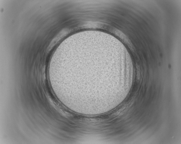 X0000061720486200512302124