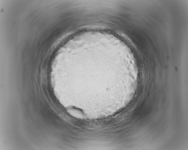 X0000061720487200512302124